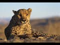 África - Desigualdades