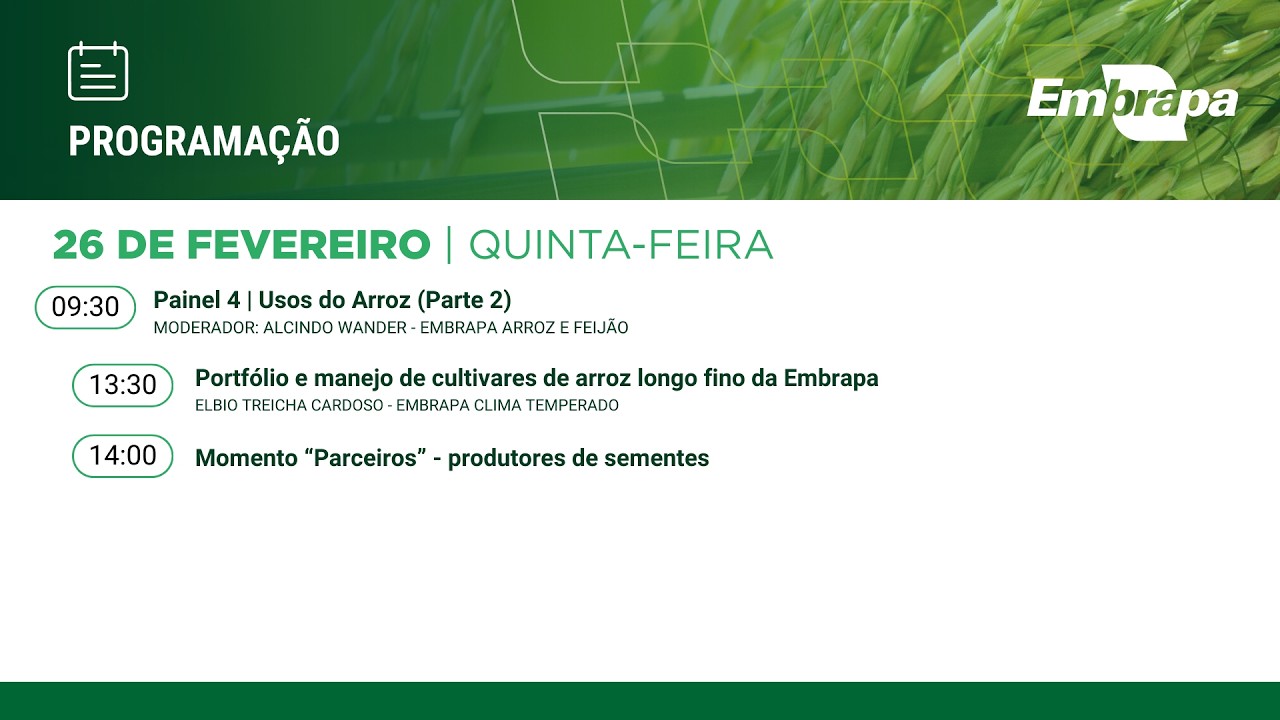 36º AOCA | Painel 4 - Usos do Arroz (Parte 2)