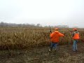 Hunting Pheasants in illinois