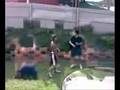 albes fight