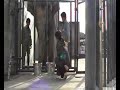 Asian elephant does arithmetic