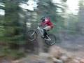 pierce bickert promo