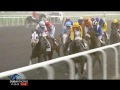 2011 Godolphin Mile (G2), SKYSURFERS