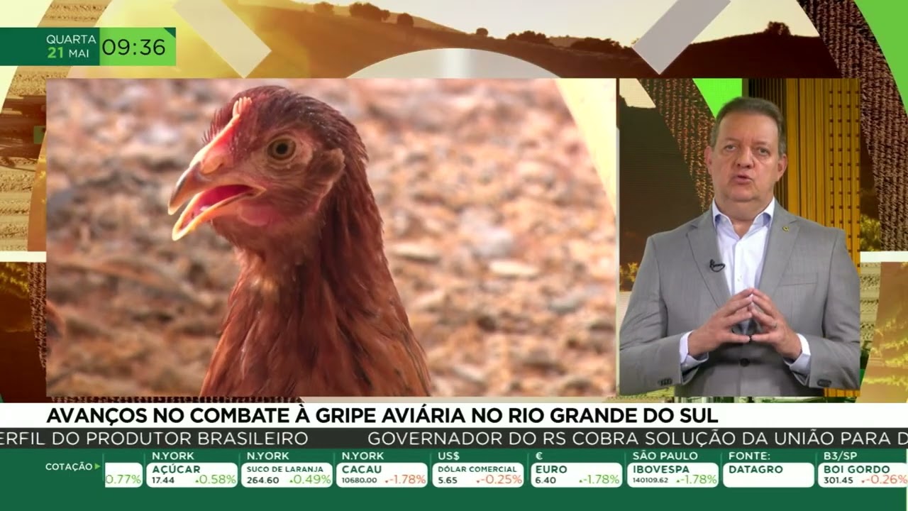 Avanços no combate à gripe aviária no Rio Grande do Sul