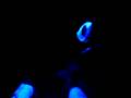 MOV00433 - courtesy