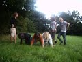 Our Human Pyramind In The Field Of Dreams Our Human Pyramind In The Field Of Dreams