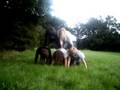 Our Human Pyramind In The Field Of Dreams