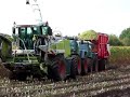 Maize harvesting 2007 Maize harvesting 2007