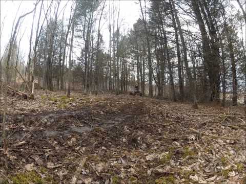 350 warrior 350 warrior