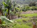 Finca Santa María de Dota 25$ metro son 26 mil metros 3