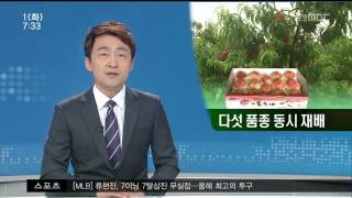 뉴스투데이