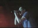 BAMBOO - ELESI / Calbayog