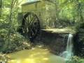 Pennyroyal Swale Part 1