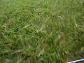 T-Maxx 2.5R On Board Cam Part 2 of 2
