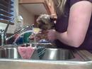 Booya getting rinsed