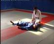 Yoko-shiho-gatame