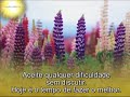 reflexões 1