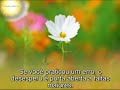 reflexões 1