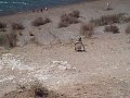 pinguinos ascendiendo