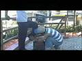 videos de Jarabacoa Film Trailer