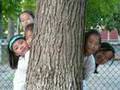 Cornerstone Church VBS 2008