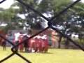 videos de Barão é união