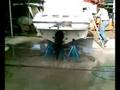 offshore CORBELLI POWER MARINE 2
