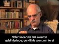 Evrim Teorisi: Evrim Sadece Bir Teori mi?