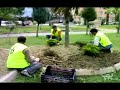 Kam�rselNetTv.com Baykar Peyzaj �i�ek Ekimi 2