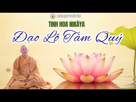 Tinh Hoa NIKAYA - Đạo Lộ Tàm Quý 1