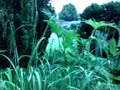 abbeville picardie la somme abbeville picardie la somme