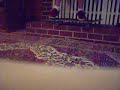pop shuvit off bricks