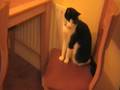 videos de Casper with Arthur