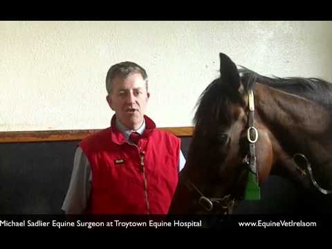 how to cure equine colic