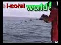 No bait fishing