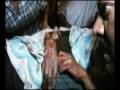 videos de A Tribute to the Victims of Mumbai terror attack