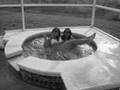 Buzon Travelogue - Florida (Christmas/New Year 2008)
