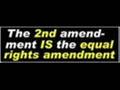 Second Amendment