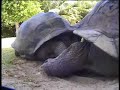 nature Seychelles