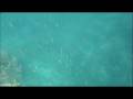 videos de Lusong Wreck2