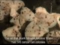 Alkaline Water - English