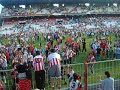 Rayo - Zamora