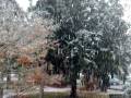 videos de Neve su Redona
