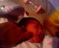 baby giela