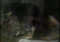 Cemetary Haunting