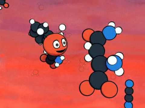 wasser