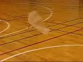 New concept RC Ornithopter New concept RC Ornithopter