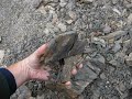 Look how brittle this rock is.  From near Alchi, in Ladakh, India.