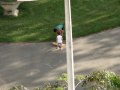 MOV04316