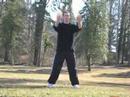Hunyuan Opening Posture
